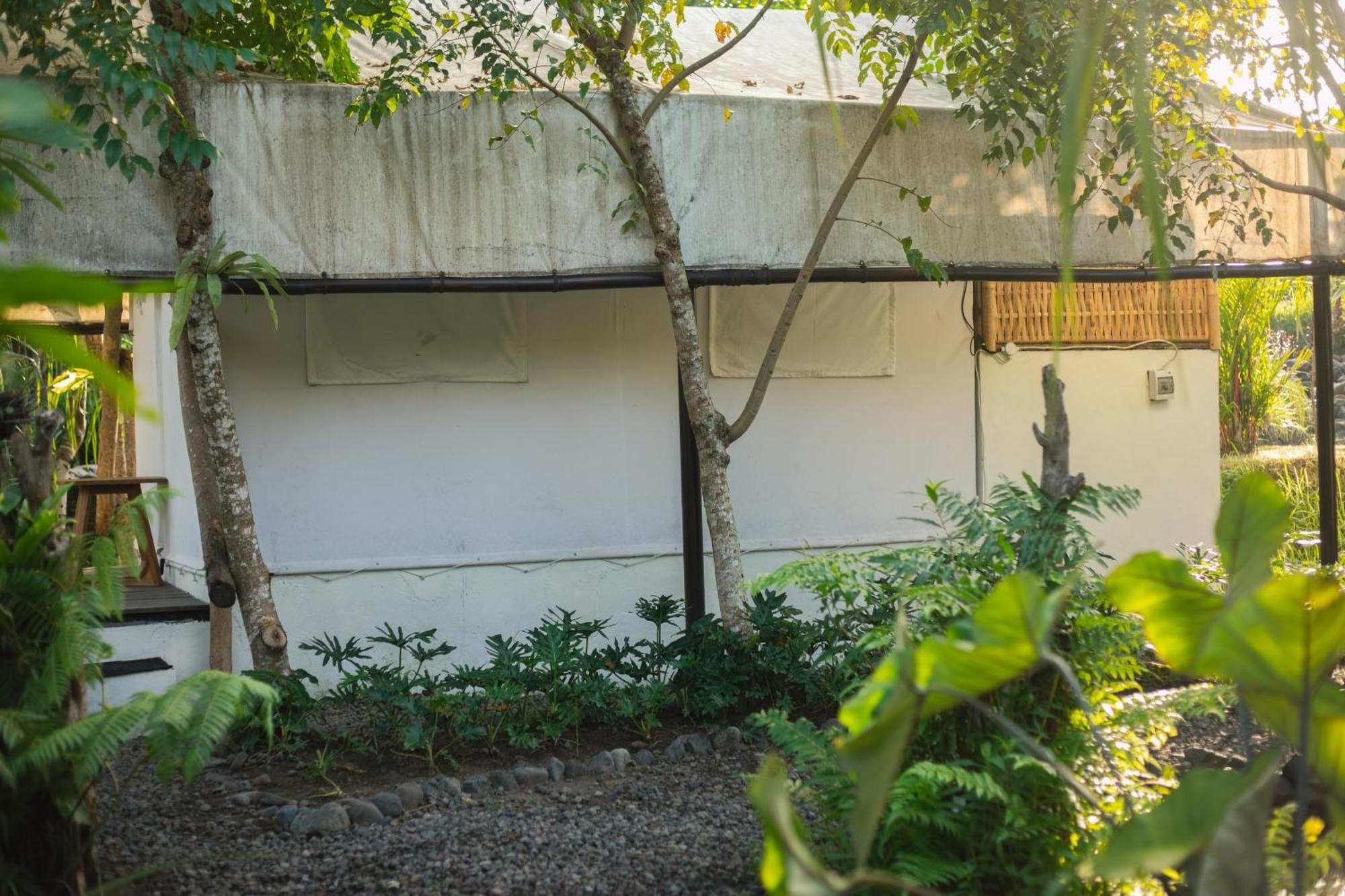 Camani Glamping Ξενοδοχείο Karangasem Δωμάτιο φωτογραφία